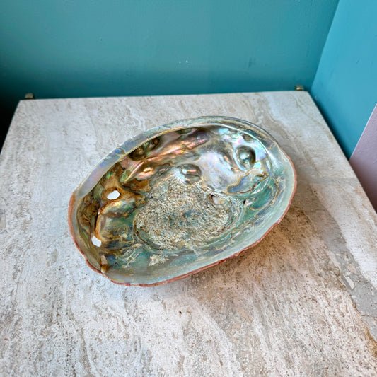 Vintage Natural Abalone Shell Catchall Bowl