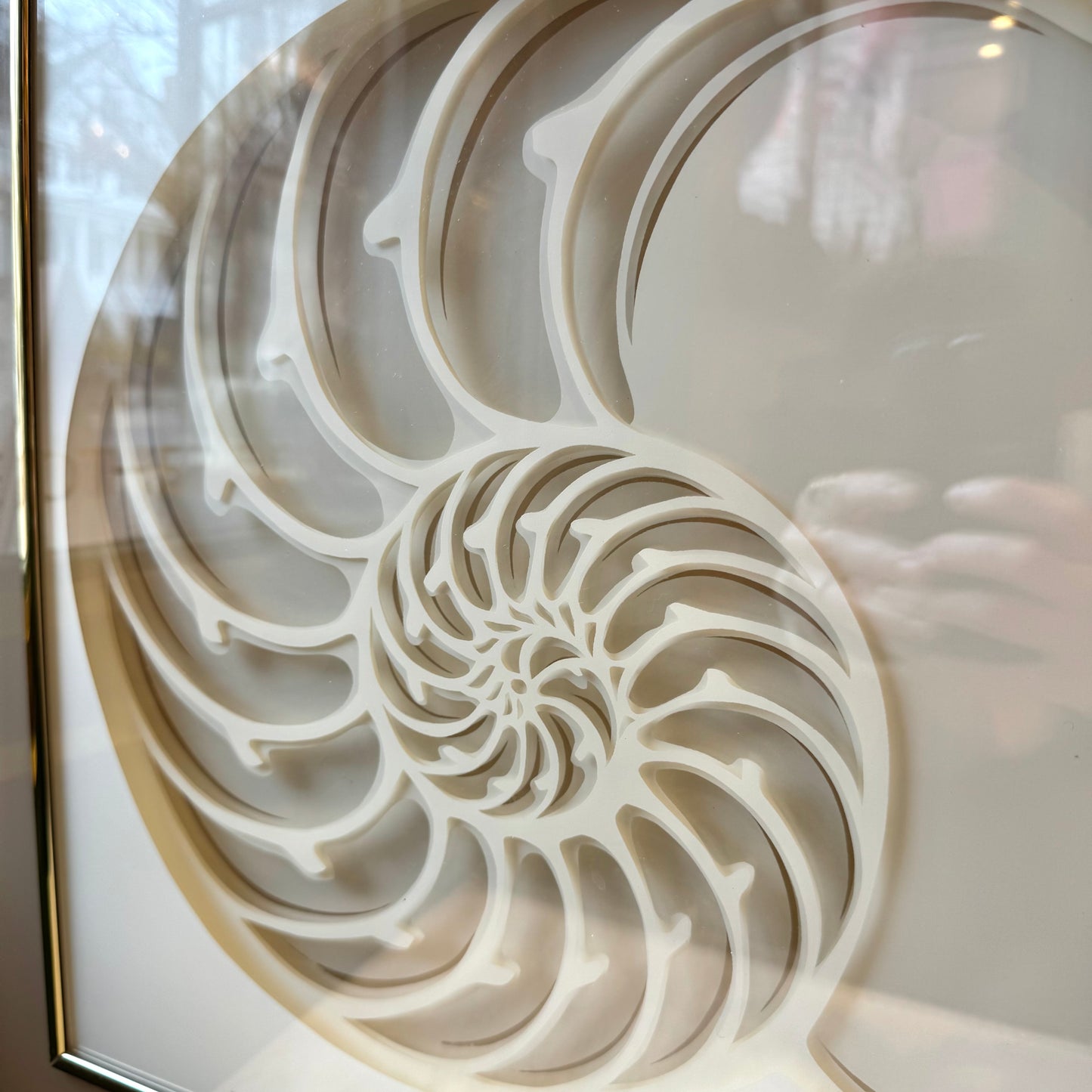 Vintage 1970's Framed 3D Paper Sculpture Shell Artwork by Rebecca Melville Miller for Greg Copeland
