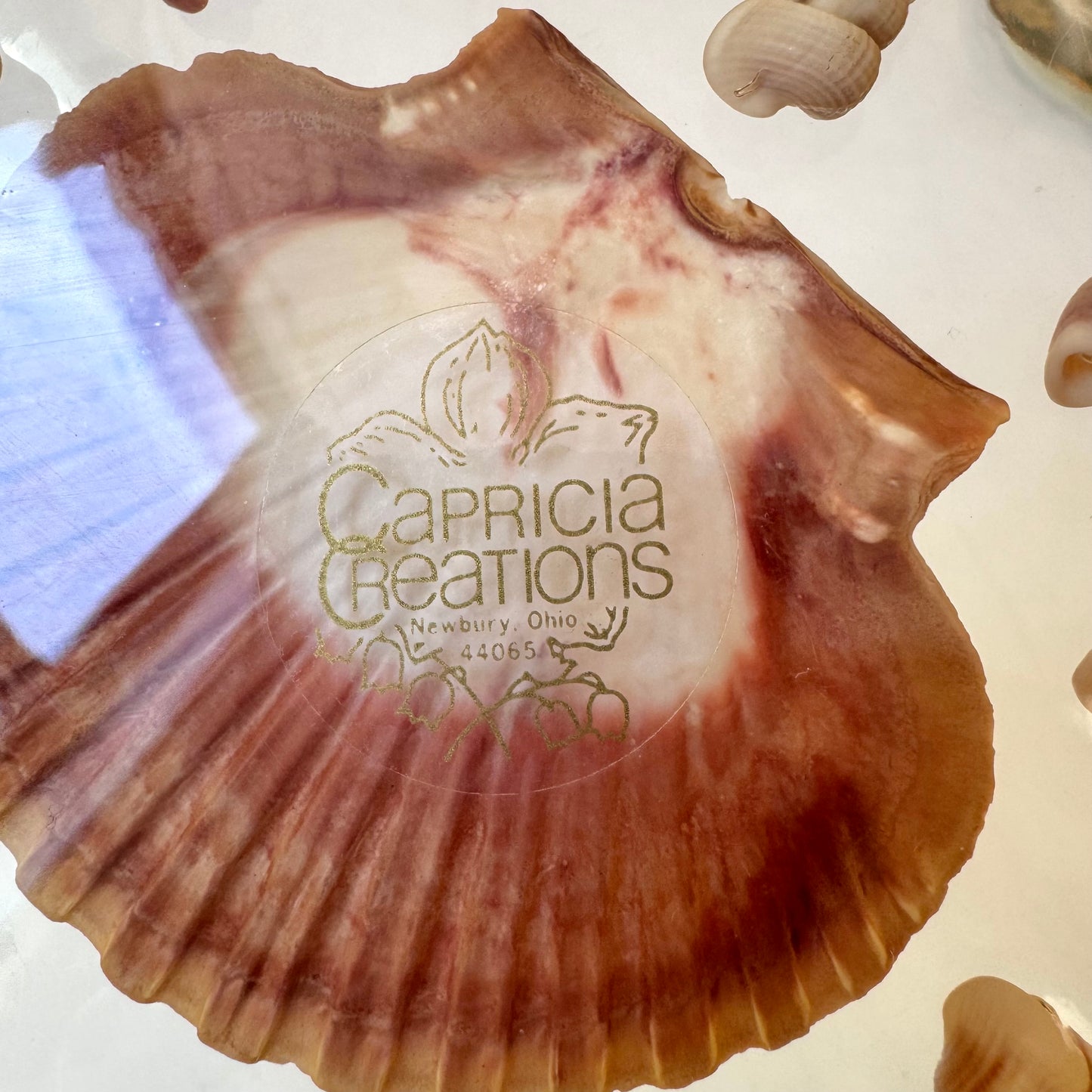 Vintage Lucite Seashell Trivet Dish by Capricia Creations