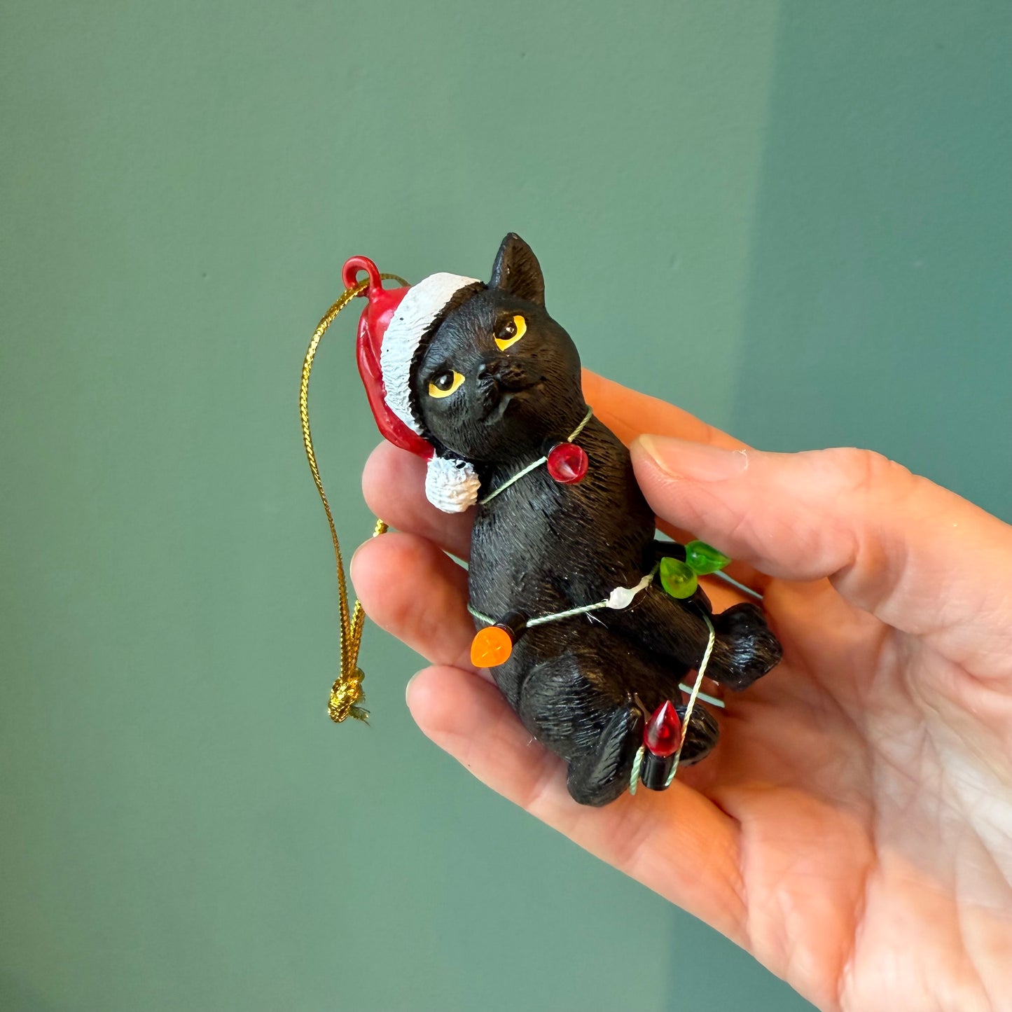Black Cat with Santa Hat Wrapped in Lights