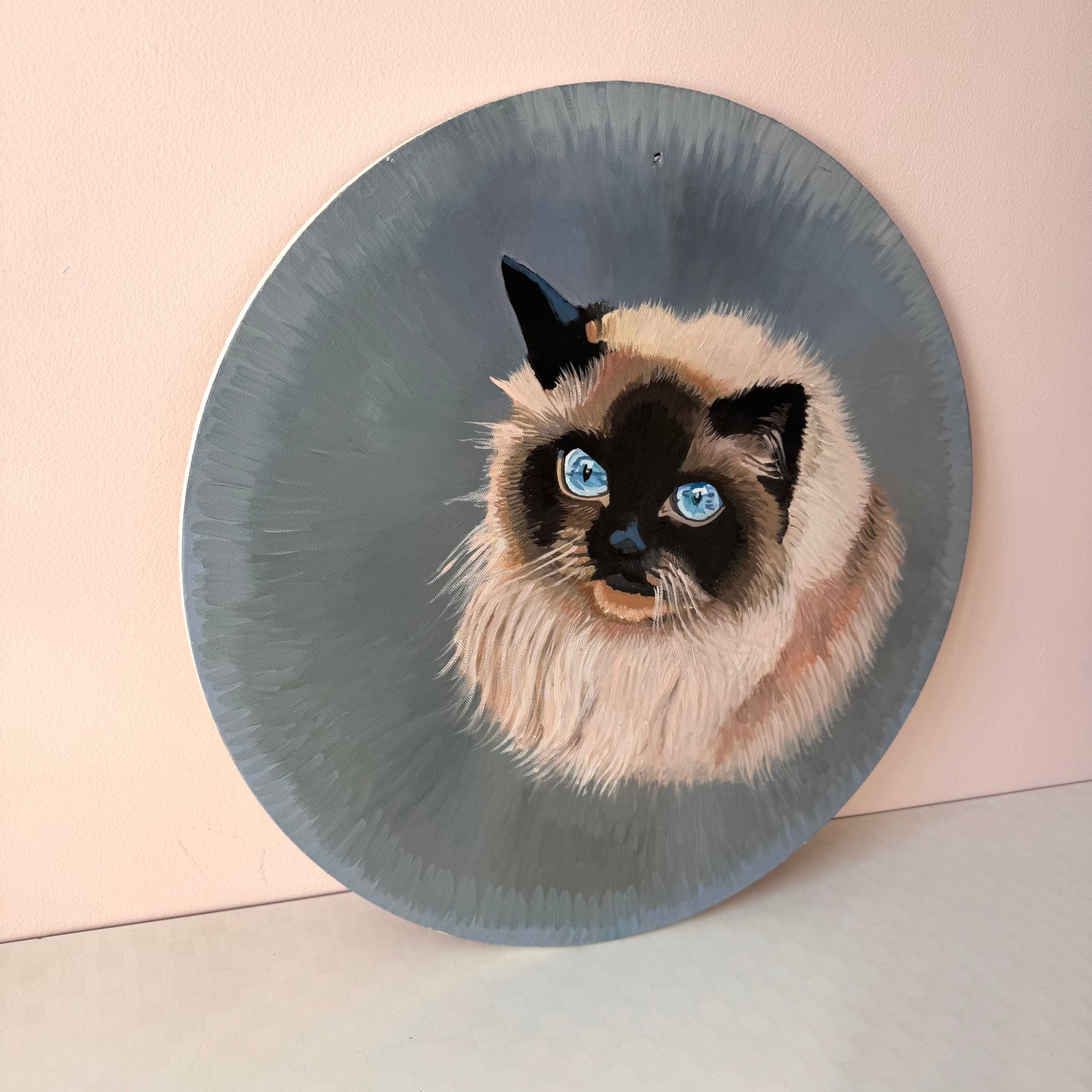 Vintage Original Circular Ragdoll Cat Portrait