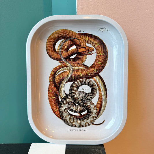 Small Metal Snake Trinket Tray