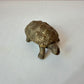 Vintage Bronze Turtle Box Made in Italy