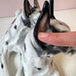 Vintage Porcelain Great Danes Resting Sculpture by Giovanni Ronzan