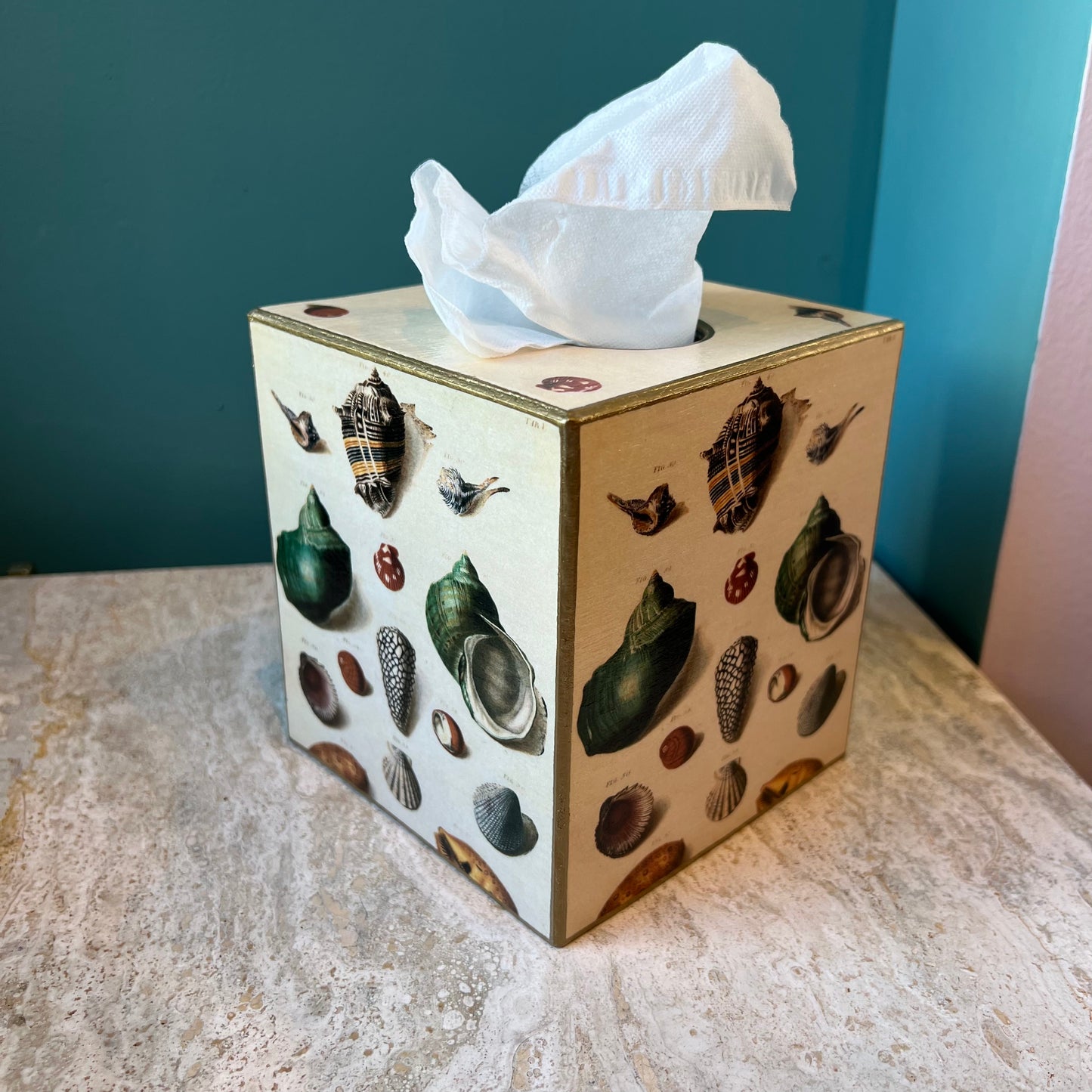 Shells on Cream Tissue Box Cover