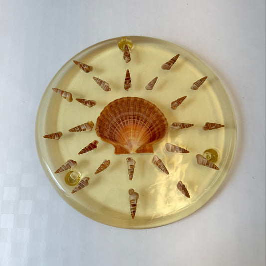 Vintage Lucite Seashell Trivet Dish by Capricia Creations