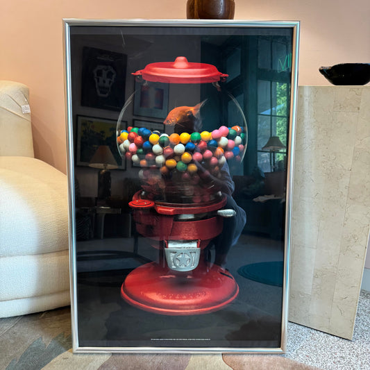 Vintage 1981 Julius Friedman Gumball and a Goldfish "Unbelievable Color" Framed Poster