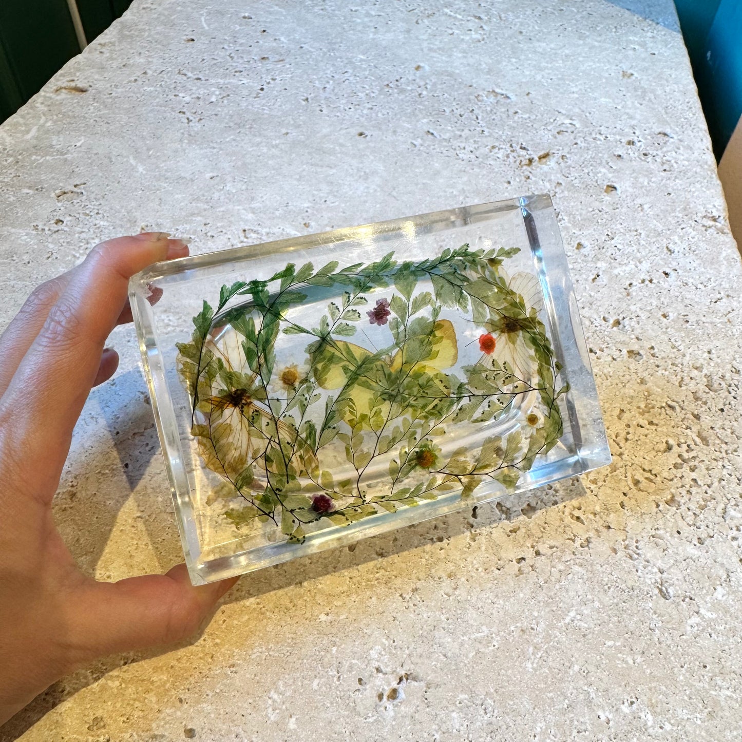 Vintage Lucite Butterfly Soap Dish