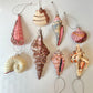 Shell Ornament/item