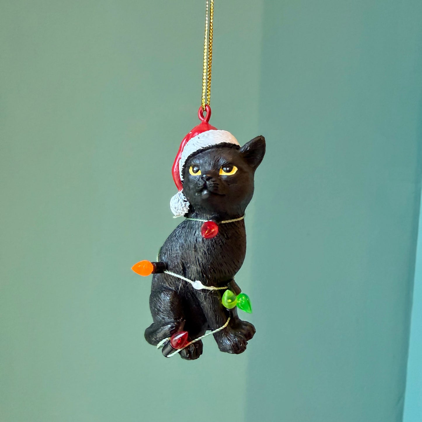 Black Cat with Santa Hat Wrapped in Lights