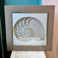 Vintage 1970's Framed 3D Paper Sculpture Shell Artwork by Rebecca Melville Miller for Greg Copeland