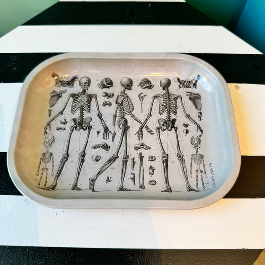 Metal Skeleton Diagram Trinket Tray