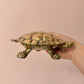 Vintage Brass Turtle Ashtray/Trinket box