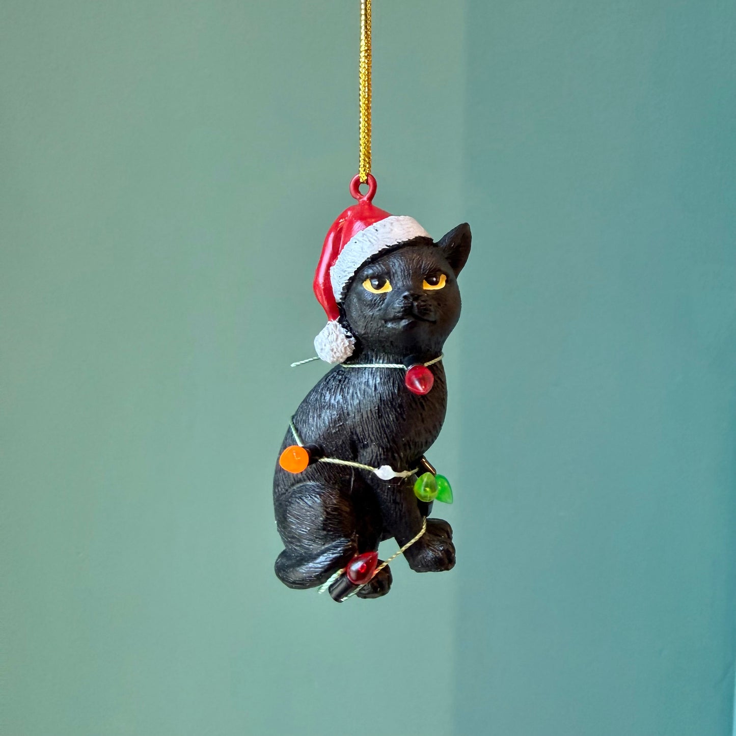 Black Cat with Santa Hat Wrapped in Lights