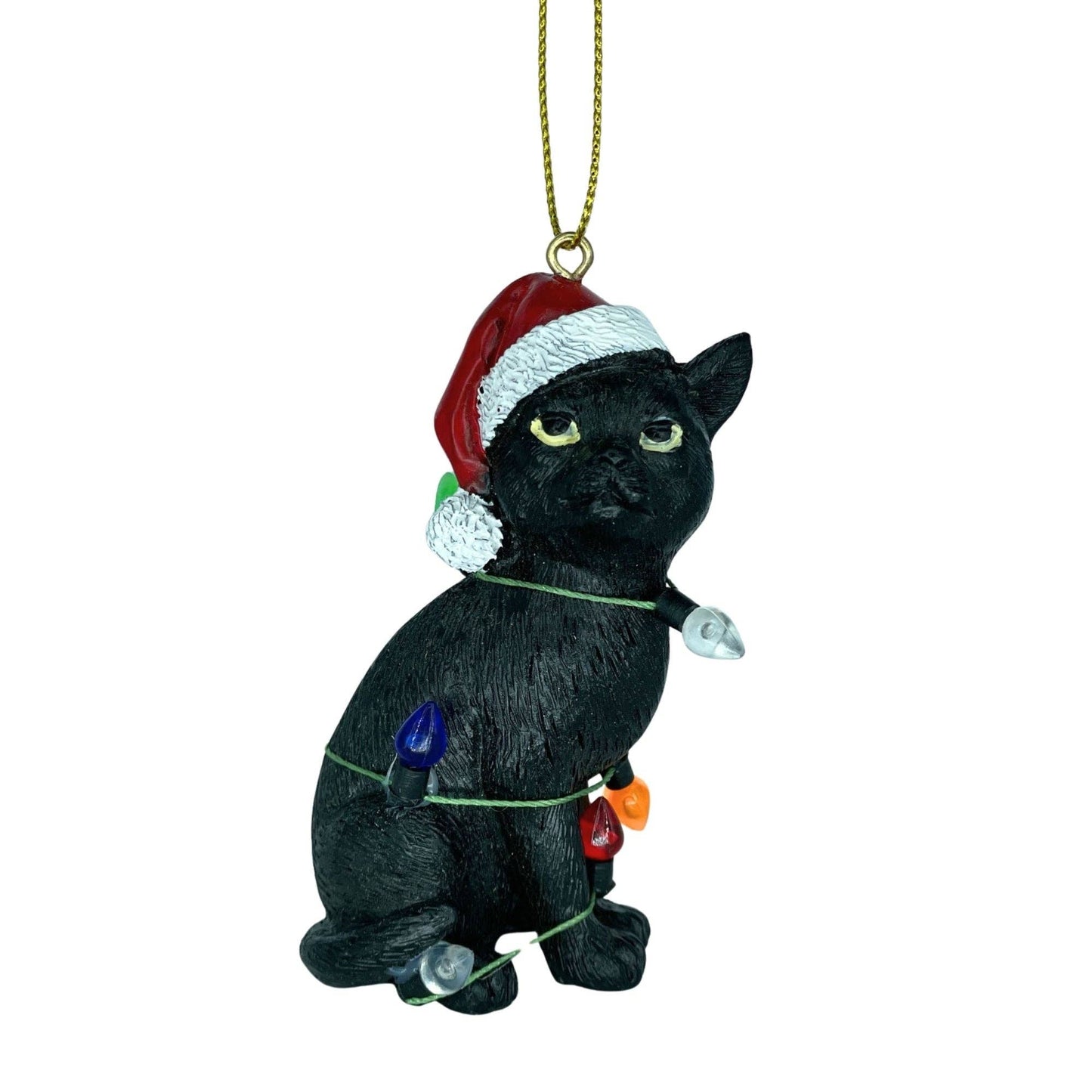 Black Cat with Santa Hat Wrapped in Lights
