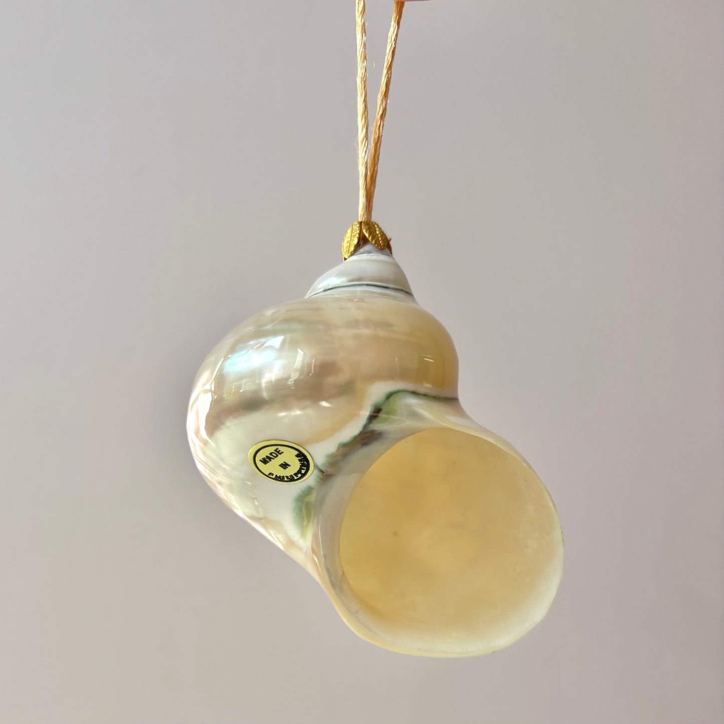 Large 3-3.5" Authentic Shell Ornament