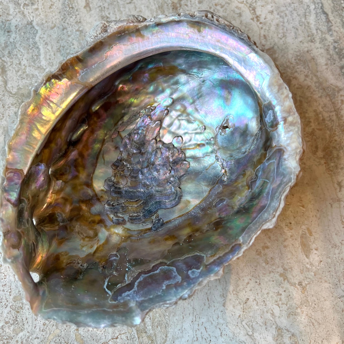 Vintage Abalone Shell Bowl/medium