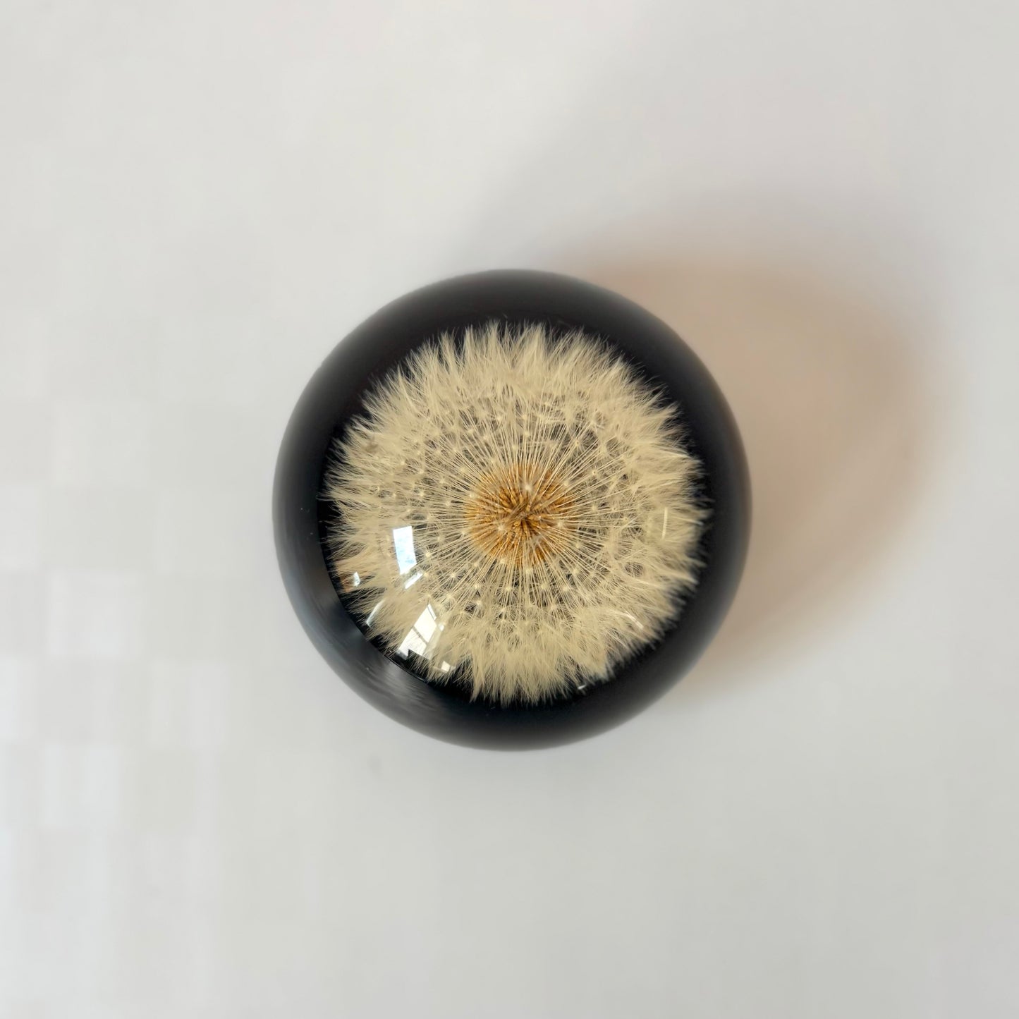 Vintage Lucite Dandelion Dome Paperweight