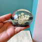 Vintage Lucite Flower Paperweight