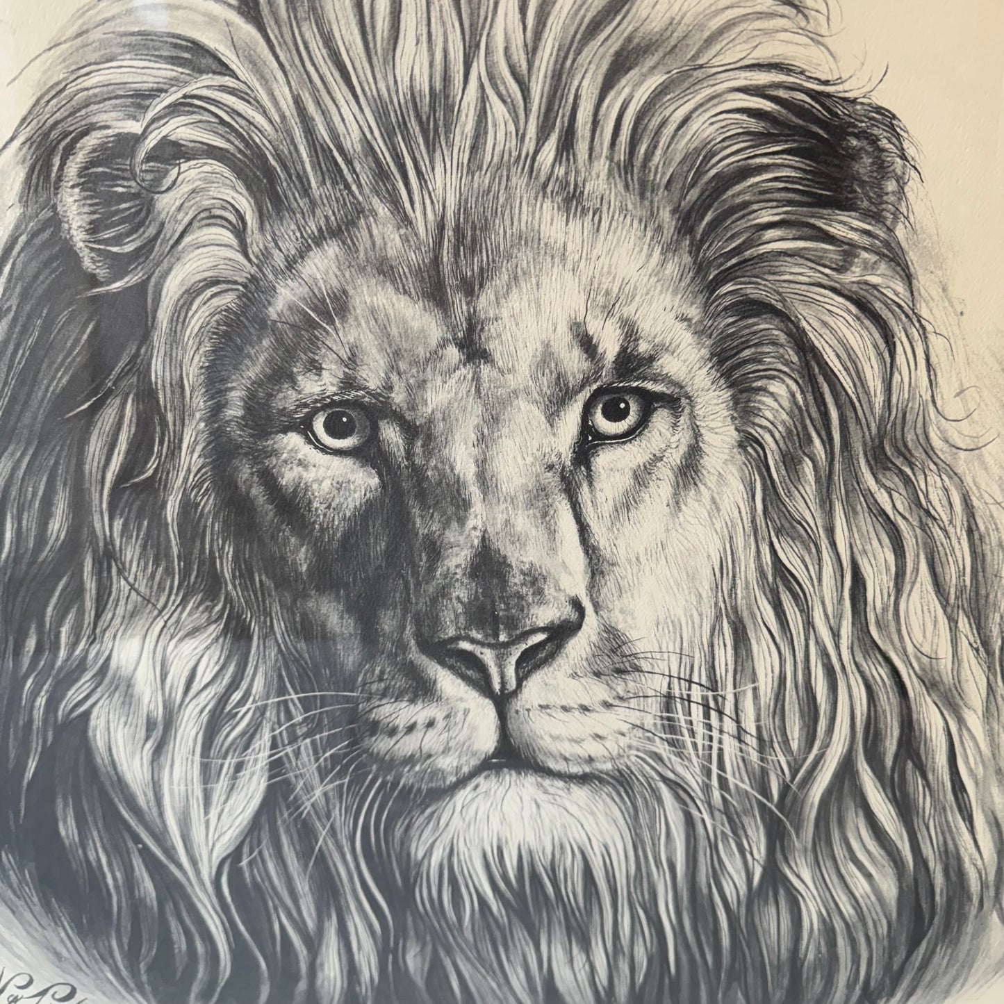 Vintage Framed Lion Artwork by Katon