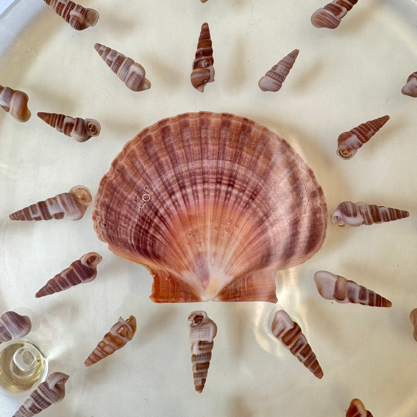 Vintage Lucite Seashell Trivet Dish by Capricia Creations