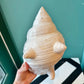 Vintage Ceramic Seashell Planter