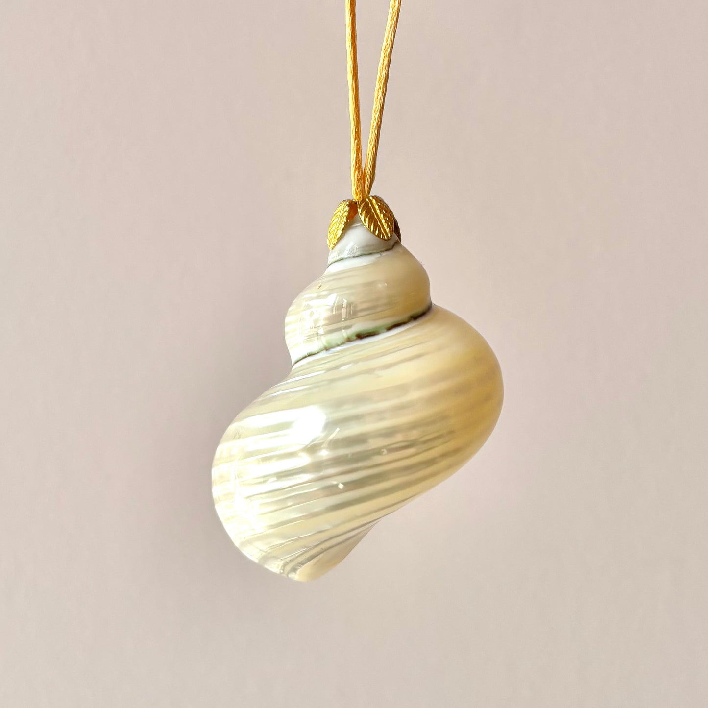 Medium Authentic Shell Ornament