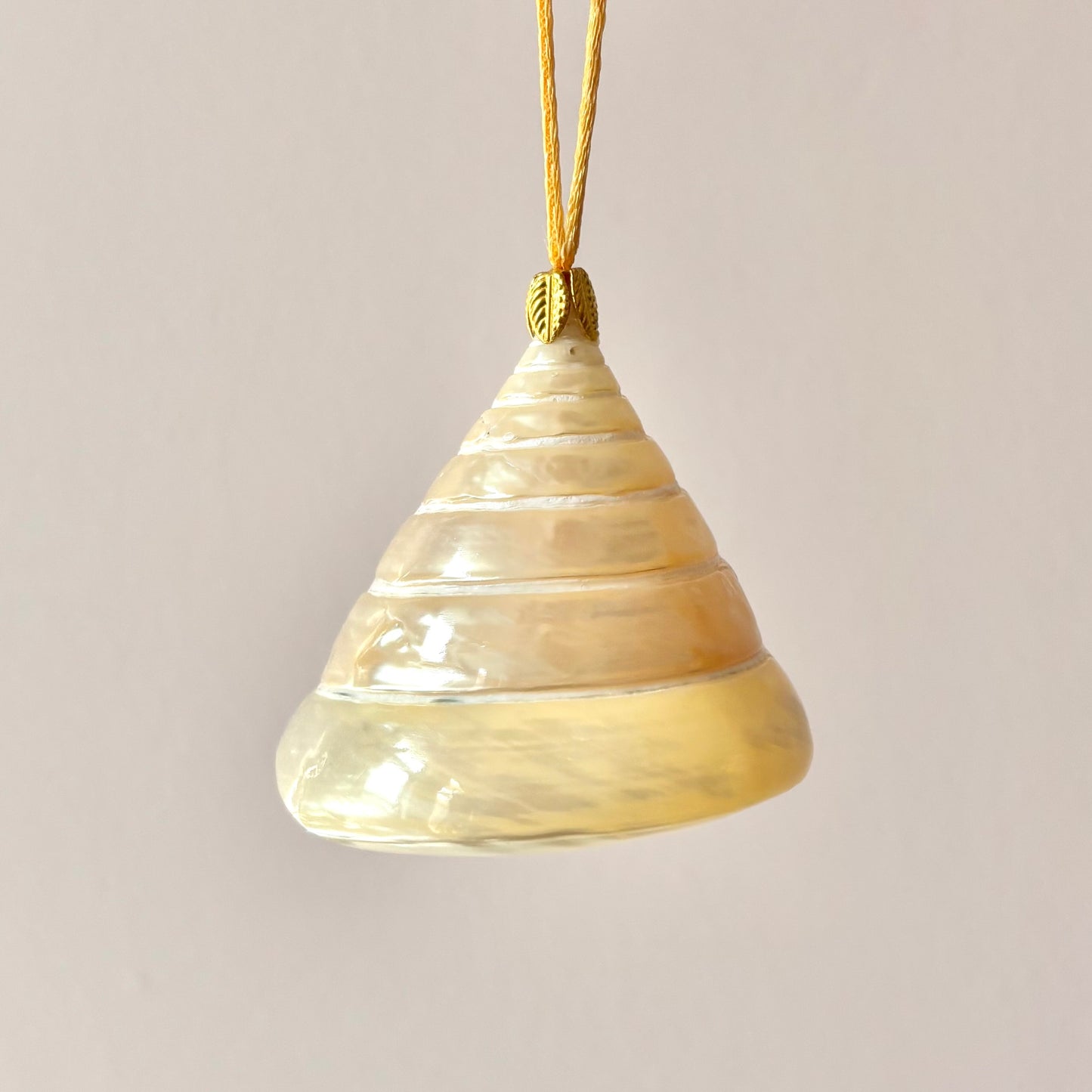 Large Authentic Trochus Shell Ornament