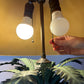 Vintage 1970s Chapman Style Palm Tree Table Lamp/per item