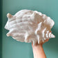 Vintage Ceramic Shell Planter