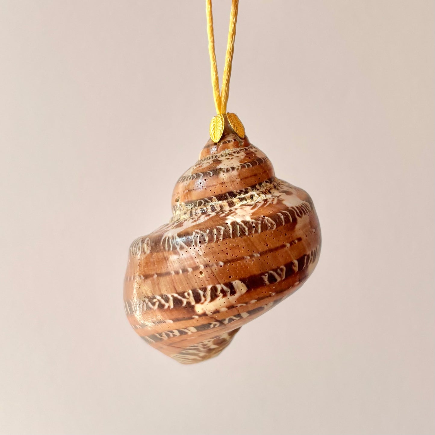 Medium Authentic Shell Ornament