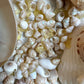 Vintage Shell Encrusted Mirror