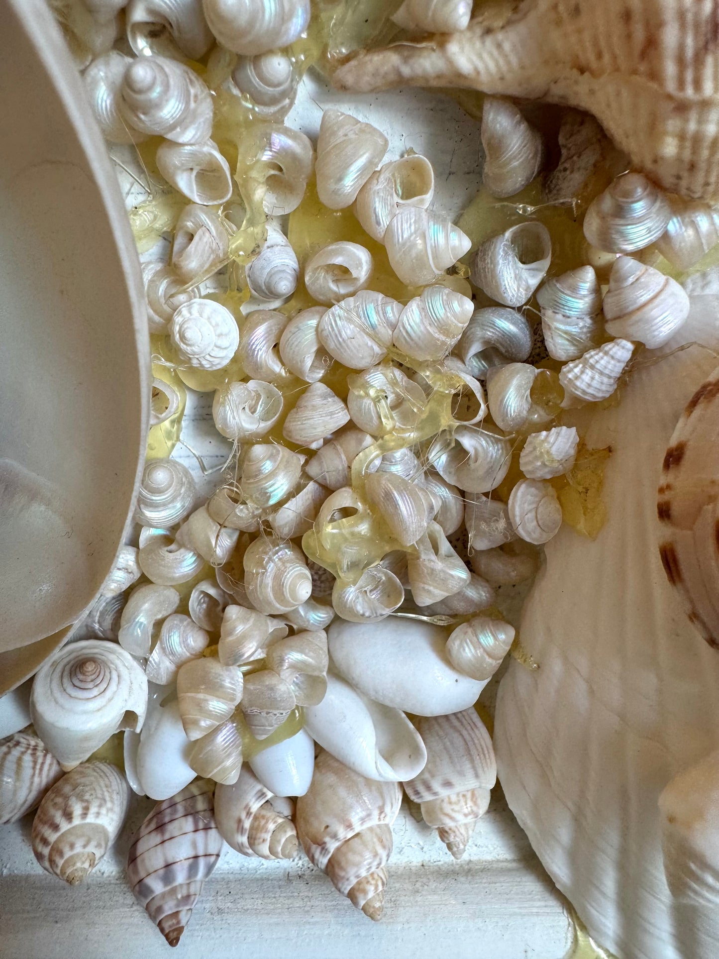 Vintage Shell Encrusted Mirror