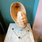 Vintage Carved Wooden Nautilus Shell on Lucite Stand
