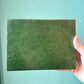 Vintage Pine Valley Golf Club Decorative Box