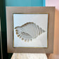 Vintage 1970's Framed 3D Paper Sculpture Shell Artwork by Rebecca Melville Miller for Greg Copeland
