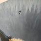 Vintage Original Circular Ragdoll Cat Portrait