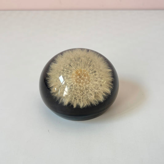 Vintage Lucite Dandelion Dome Paperweight