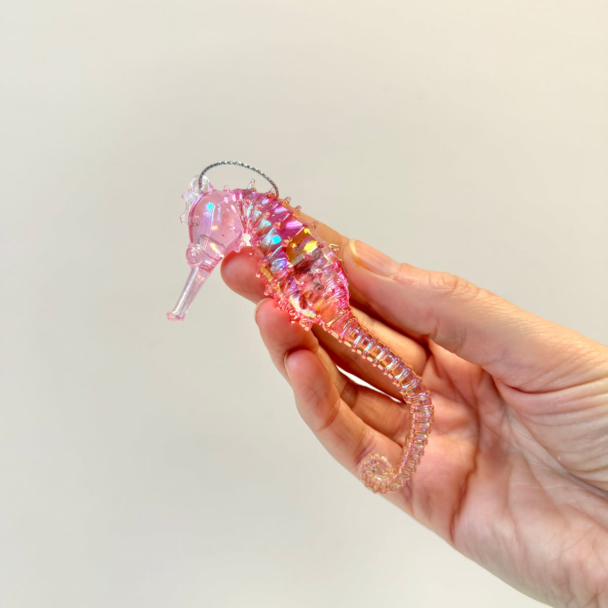 Iridescent Acrylic Seahorse Ornament