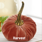 Medium Handmade Velvet Pumpkins