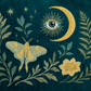 Green Velvet Embroidered Everything Pouch - Luna Moth & Crescent Moon