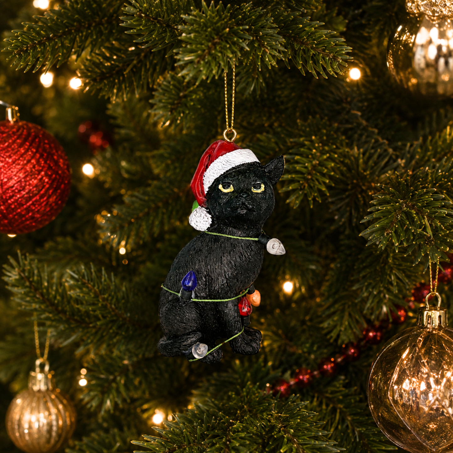 Black Cat with Santa Hat Wrapped in Lights
