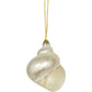 Large 3-3.5" Authentic Shell Ornament