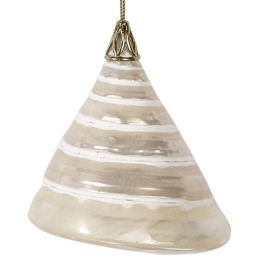 Large Authentic Trochus Shell Ornament