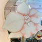 1980's David Marshall Circular Floral Mirror