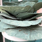 Pair of Vintage Metal Cabbage Lamps with Blush Shades