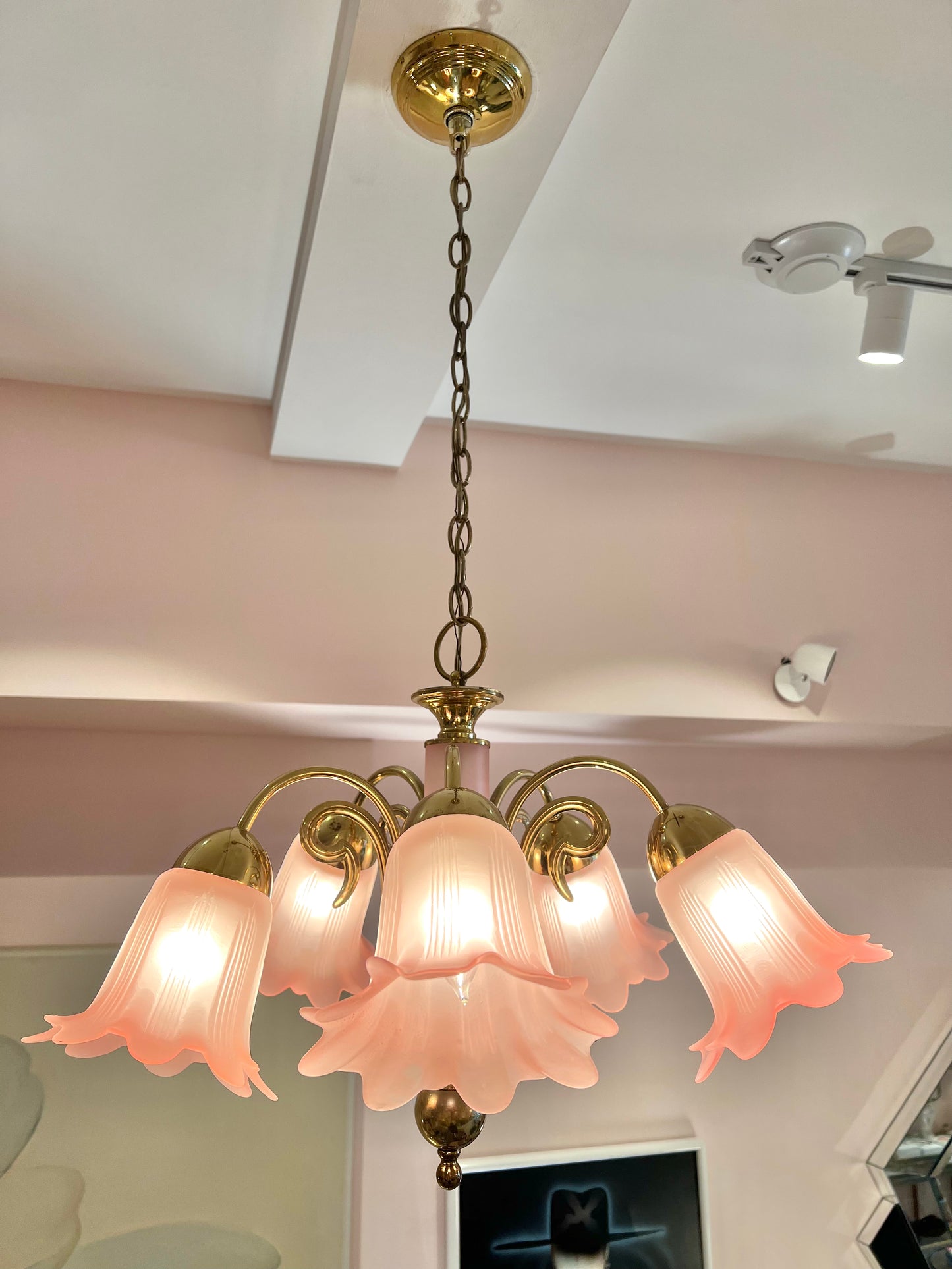 Vintage Pink Murano Glass Style Flower Shade Chandelier