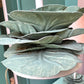 Pair of Vintage Metal Cabbage Lamps with Blush Shades