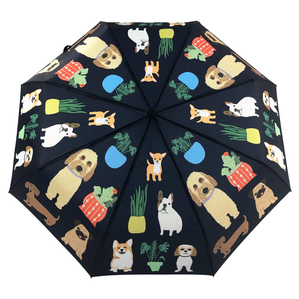 Dog with Plants Umbrella