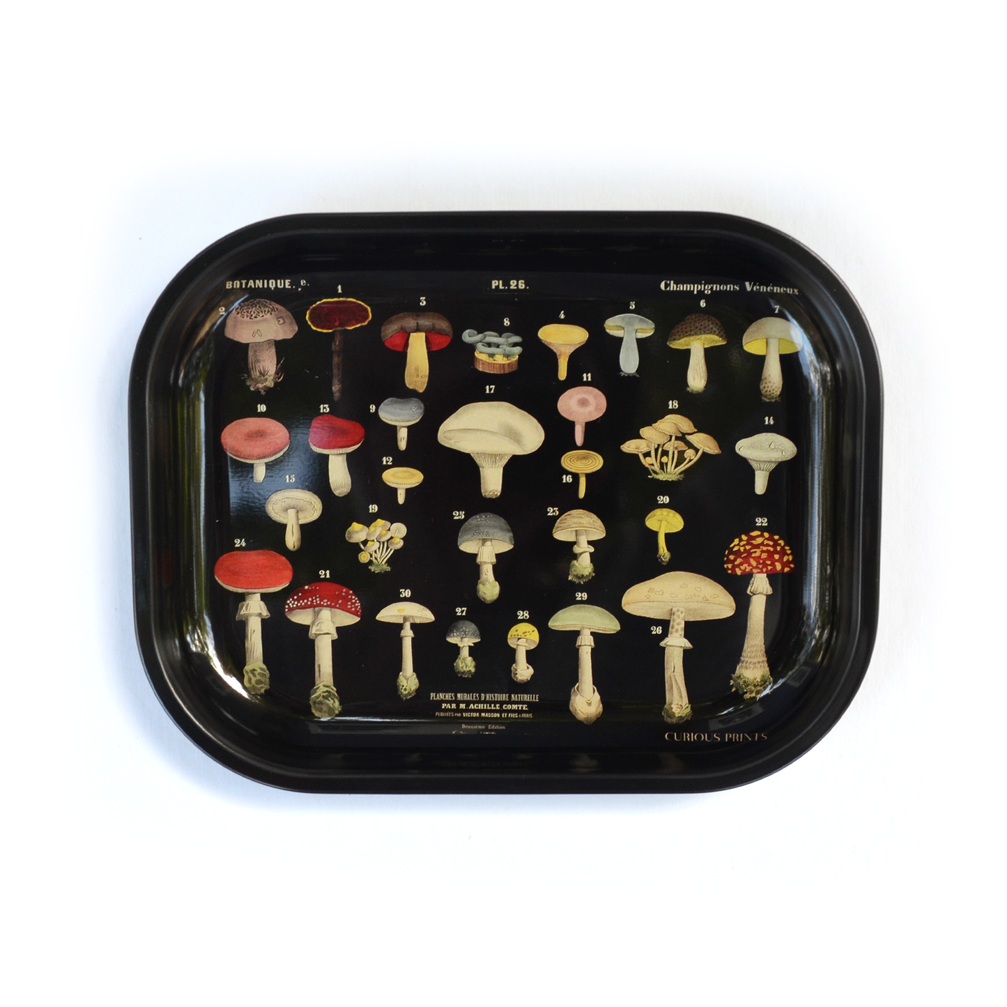 Small Black Metal Mushroom Tray / Vintage Fungi Print
